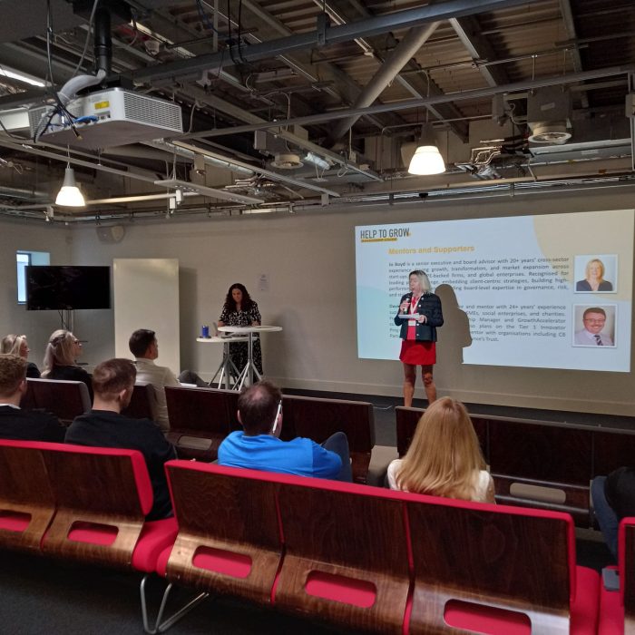 Help to Grow: a practical leadership perspective